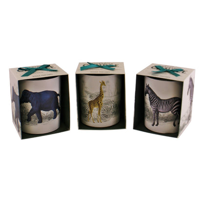 Set of 3 Tropical Safari Candlepots - ScentiMelti Home Fragrance, Beauty & Gifts UK