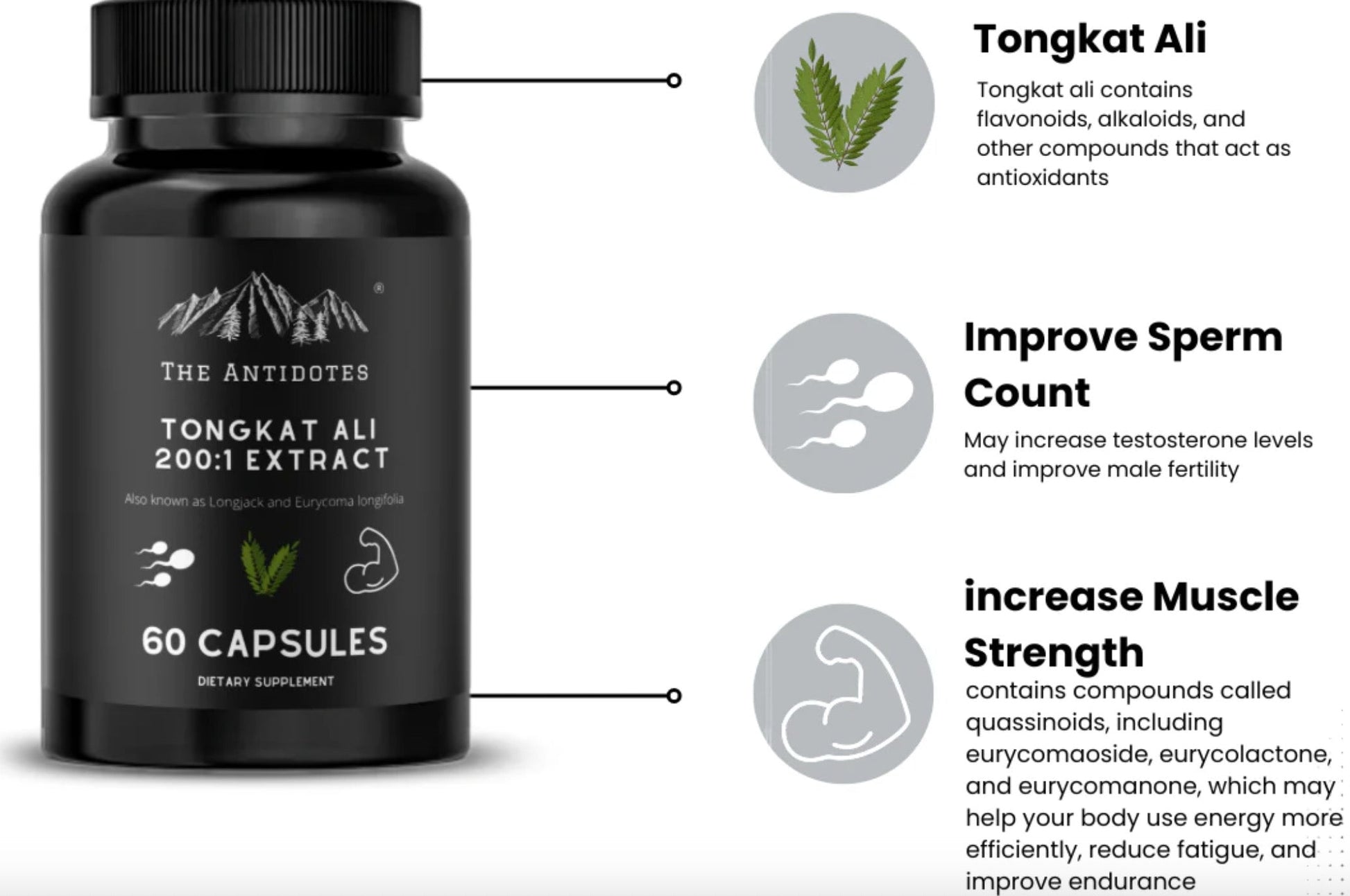 Tongkat Ali | 200:1 Extract The Positive Company ScentiMelti Wax Melts