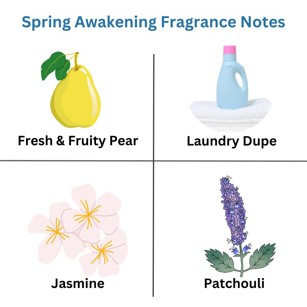 SPRING AWAKENING Laundry Fragrance Inspired Luxury Scented Upholstery Carpet Freshener 250g - ScentiMelti  SPRING AWAKENING Laundry Fragrance Inspired Luxury Scented Upholstery Carpet Freshen