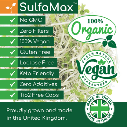 🌱 SulfaMax™  |  1 Month Supply of the best organic sulforaphane supplement SulfaMax ScentiMelti Wax Melts