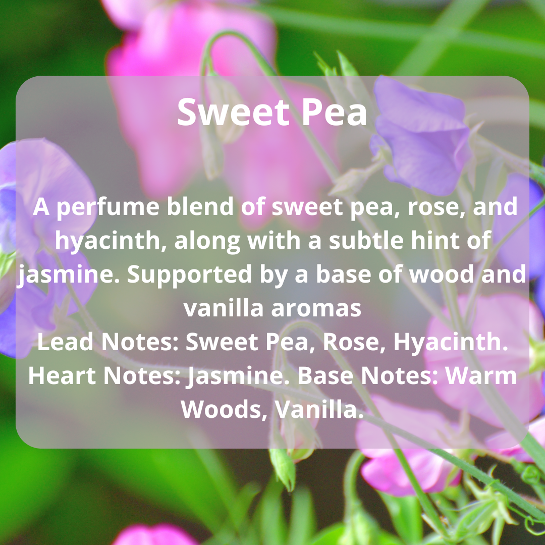 Sweet Pea Scented Candle - ScentiMelti Home Fragrance, Beauty & Gifts UK