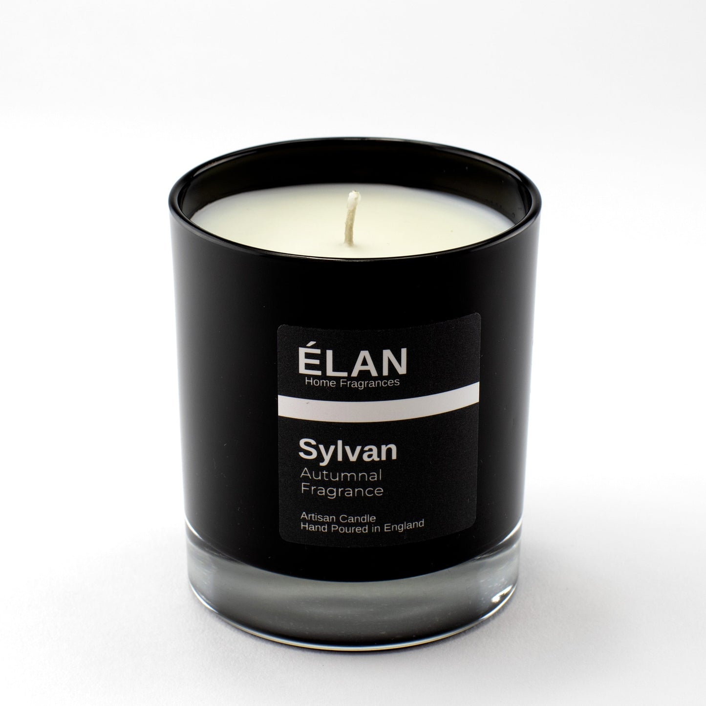 Sylvan Single Wick Candle - ScentiMelti Home Fragrance, Beauty & Gifts UK