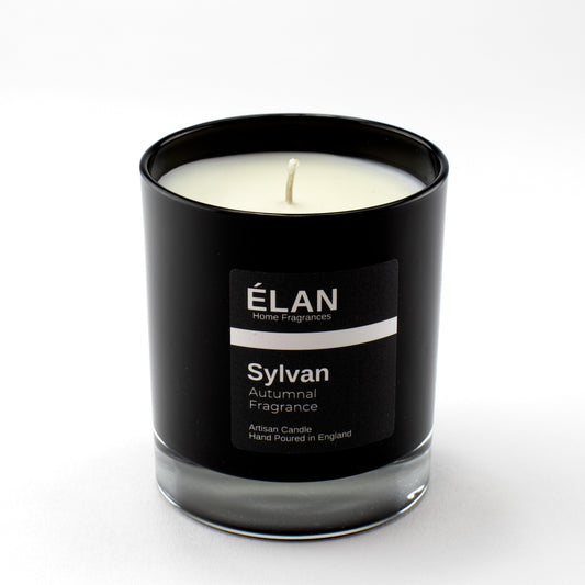 Sylvan Single Wick Candle - ScentiMelti Home Fragrance, Beauty & Gifts UK