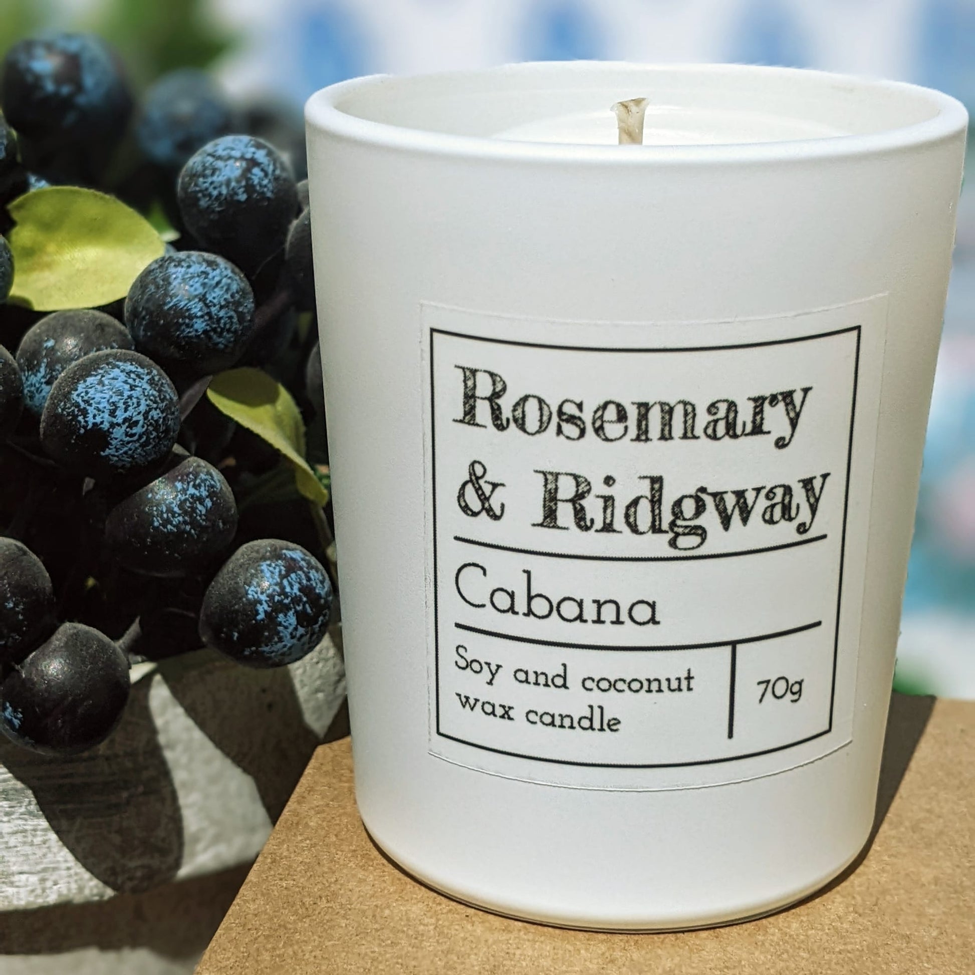 Travel Set Rosemary & Ridgway ScentiMelti Wax Melts