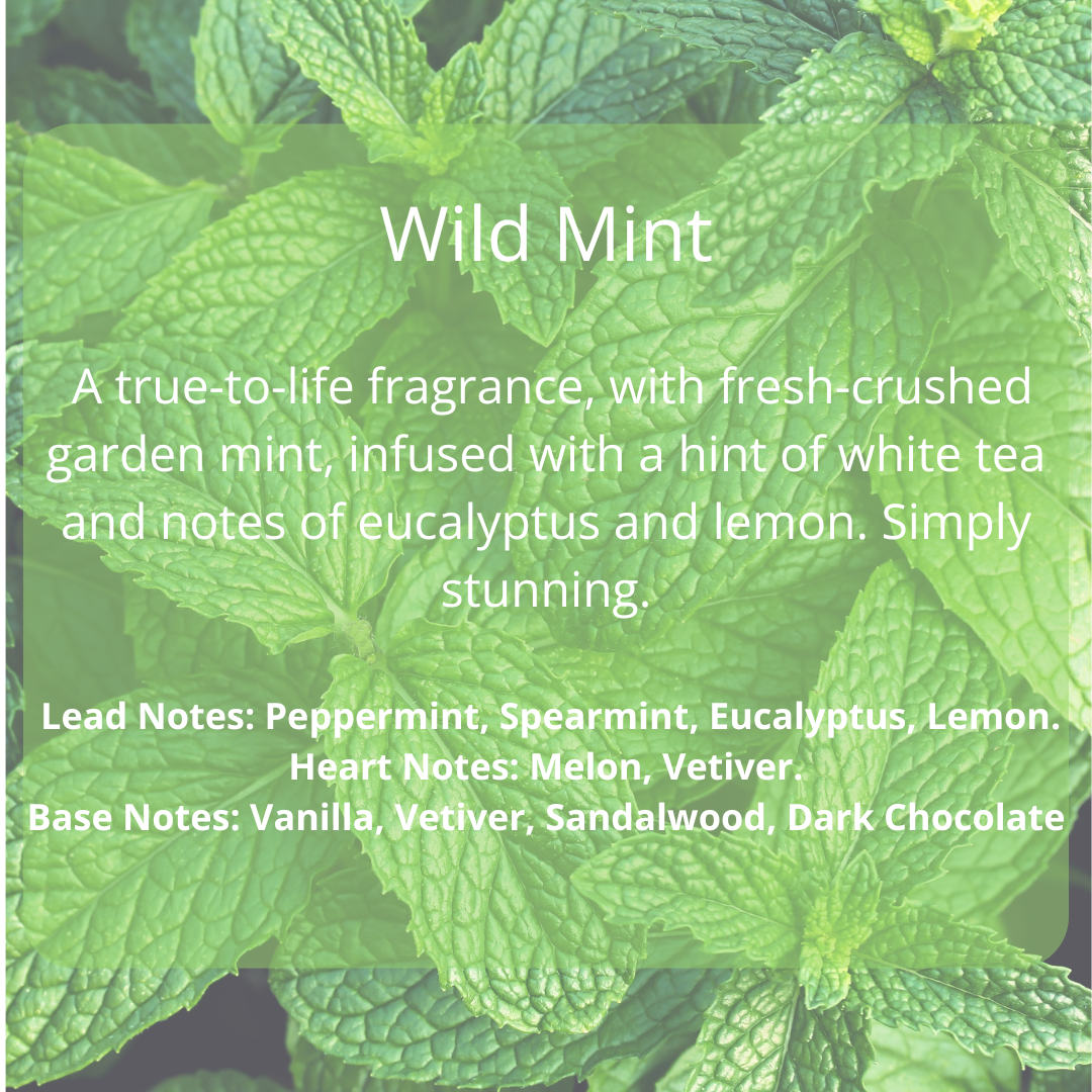 Wild Mint Scented Candle - ScentiMelti Home Fragrance, Beauty & Gifts UK