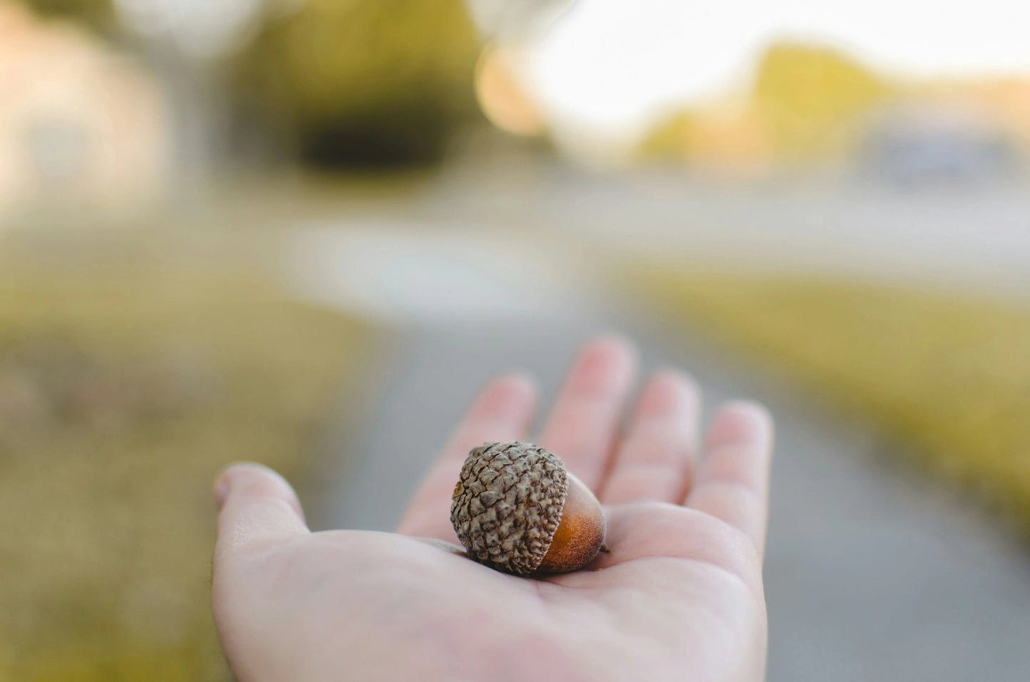 Gold-Plated Acorn Pendant Necklace with 24" Chain - Real Acorn! - ScentiMelti Home Fragrance, Beauty & Gifts UK