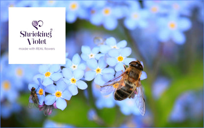 Gold-plated sterling silver adjustable ring with real forget me nots. Ideal mothers day gift - ScentiMelti Home Fragrance, Beauty & Gifts UK