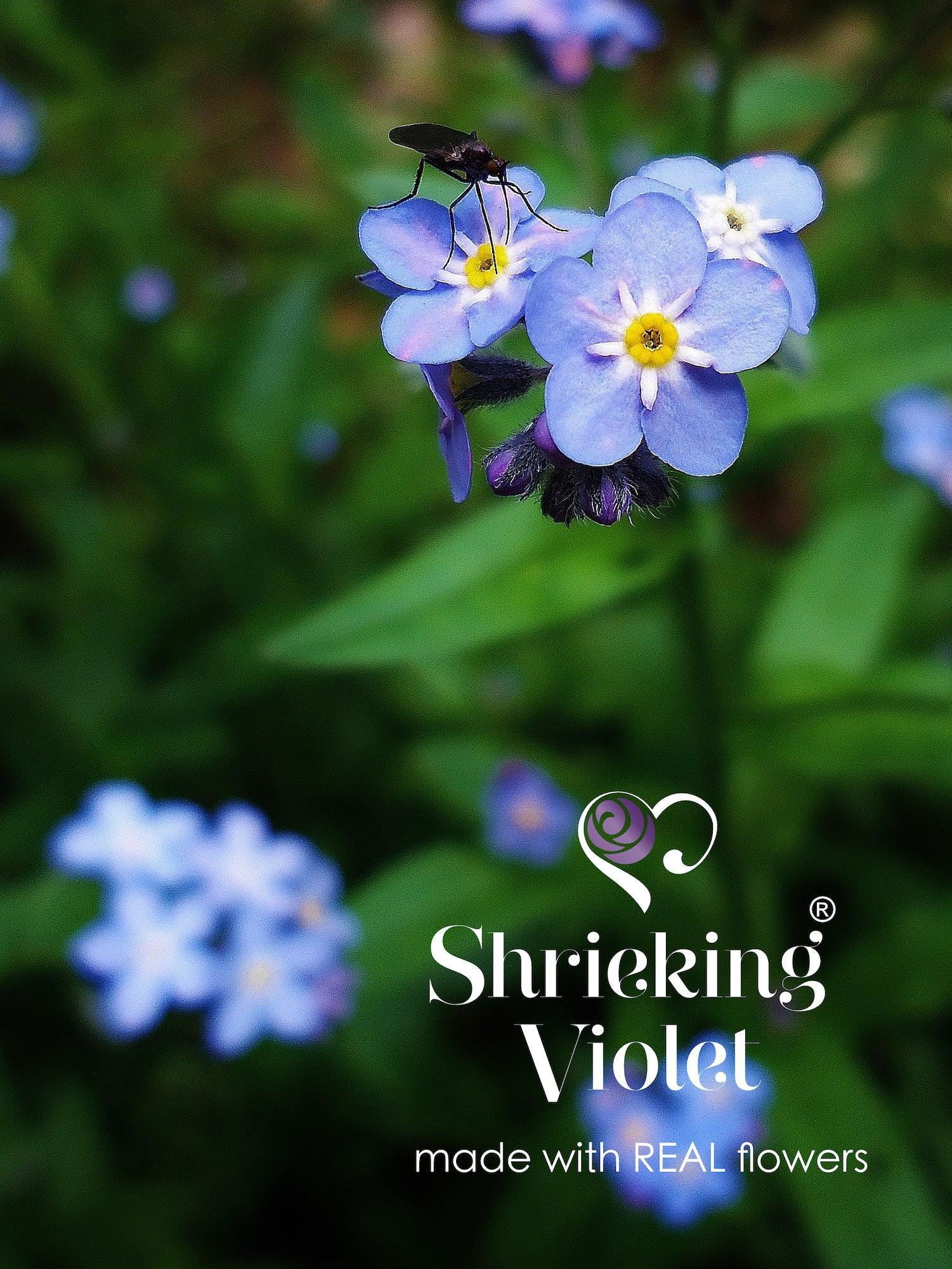 Handmade Sterling Silver Necklace with Real Forget-Me-Not Flowers | Shrieking Violet - ScentiMelti Home Fragrance, Beauty & Gifts UK