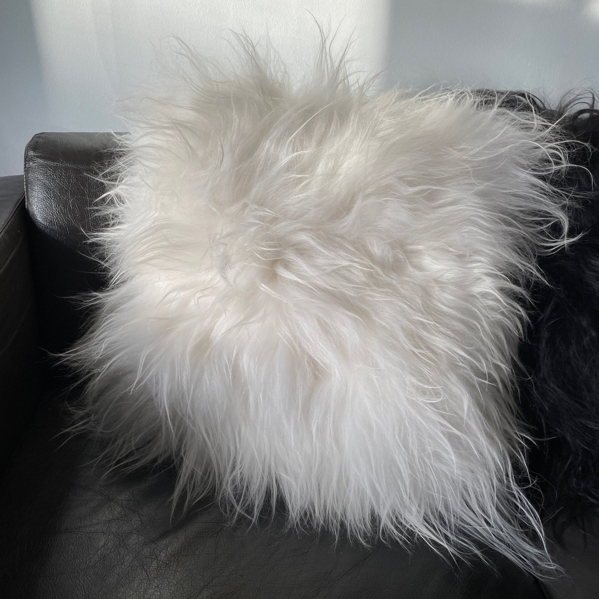 Icelandic Sheepskin Natural Long Natural White Cushion Square Double Sided - ScentiMelti Home Fragrance, Beauty & Gifts UK