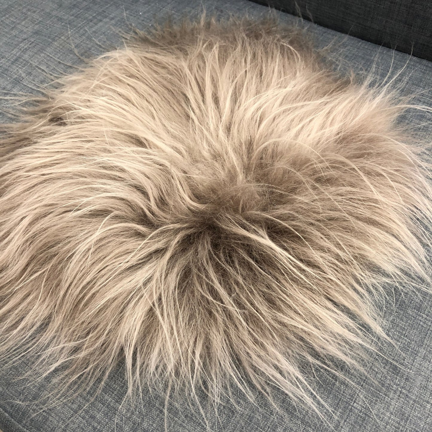 Icelandic Sheepskin Roundie Seat Cover Taupe Long 35cm - ScentiMelti Home Fragrance, Beauty & Gifts UK