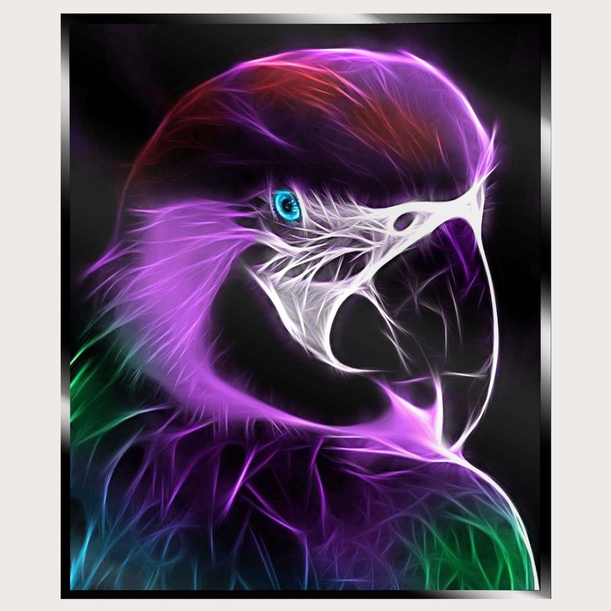 Illuminated Wall Art - Birds of Prey - ScentiMelti Home Fragrance, Beauty & Gifts UK