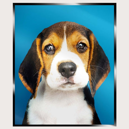 Illuminated Wall Art - Puppy - ScentiMelti Home Fragrance, Beauty & Gifts UK