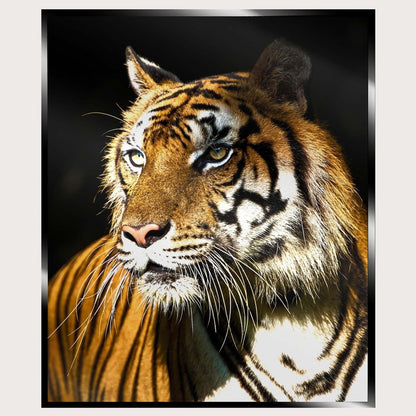 Illuminated Wall Art - Tiger 2 - ScentiMelti Home Fragrance, Beauty & Gifts UK