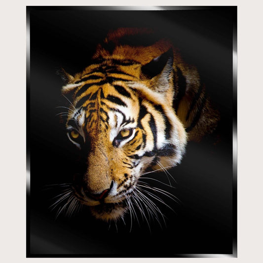 Illuminated Wall Art - Tiger 3 - ScentiMelti Home Fragrance, Beauty & Gifts UK