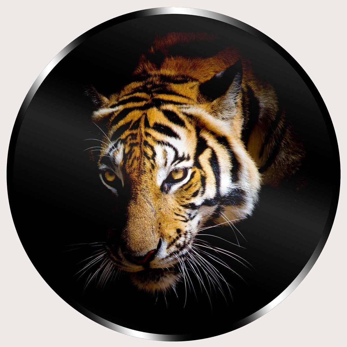 Illuminated Wall Art - Tiger 3 - ScentiMelti Home Fragrance, Beauty & Gifts UK