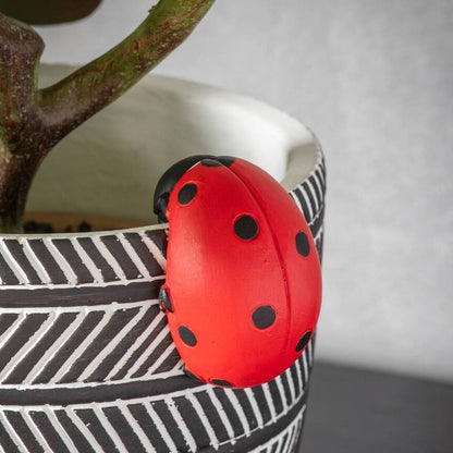 Ladybird Pot Hanger www.ellajames.co.uk ScentiMelti Wax Melts