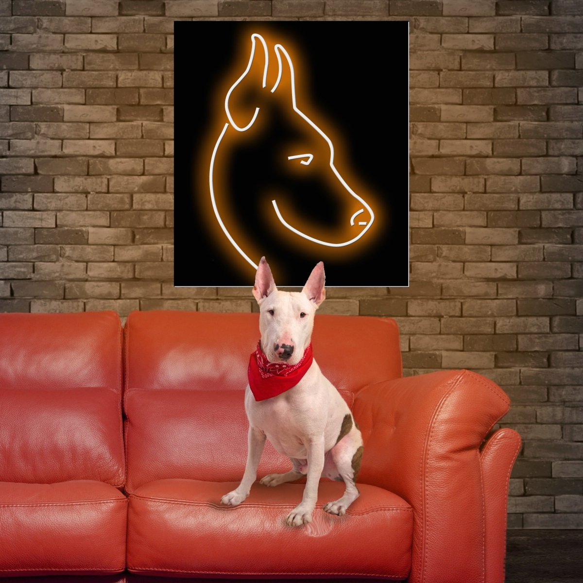 Personalised LED Neon Sign POOCH - ScentiMelti Home Fragrance, Beauty & Gifts UK