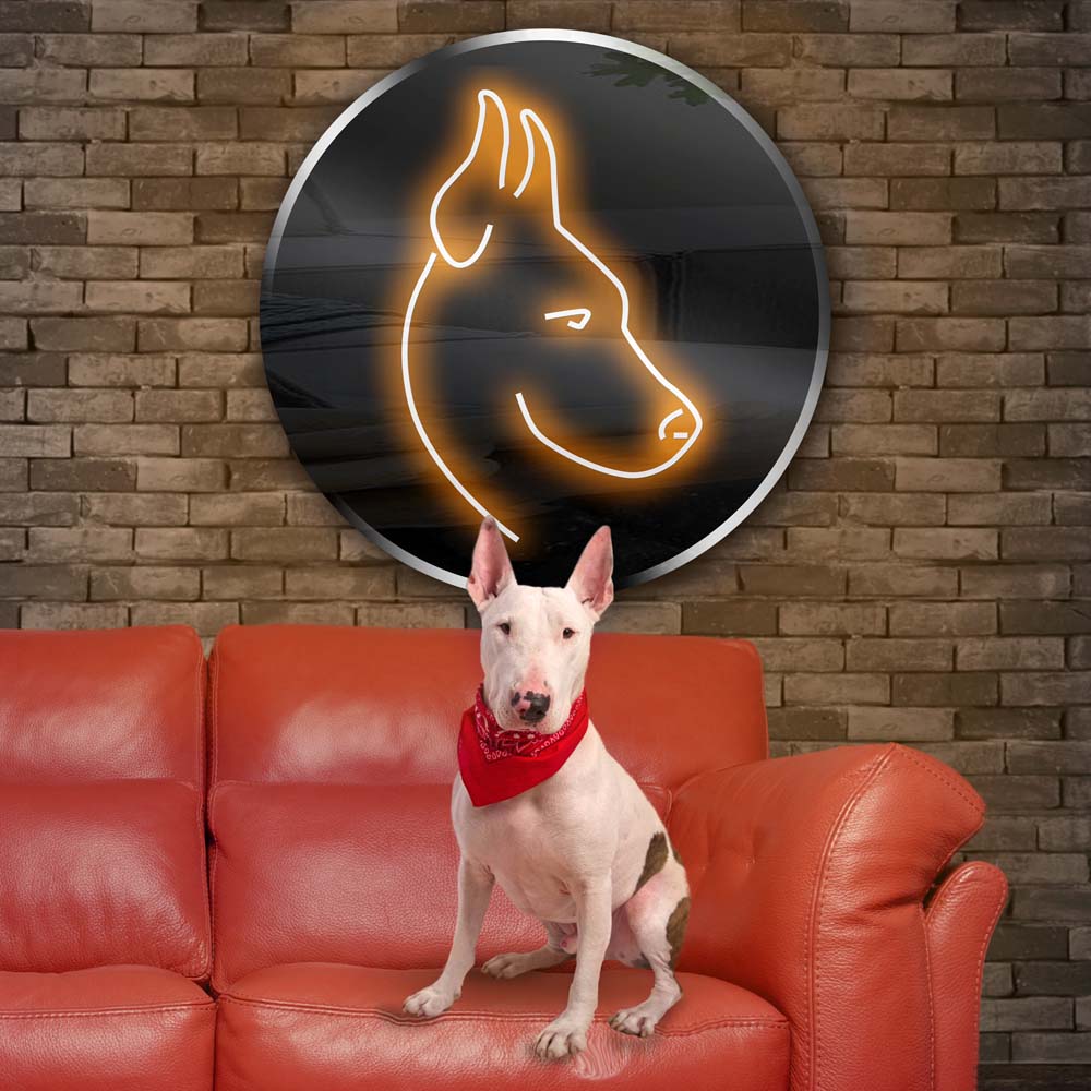 Personalised LED Neon Sign POOCH - ScentiMelti Home Fragrance, Beauty & Gifts UK