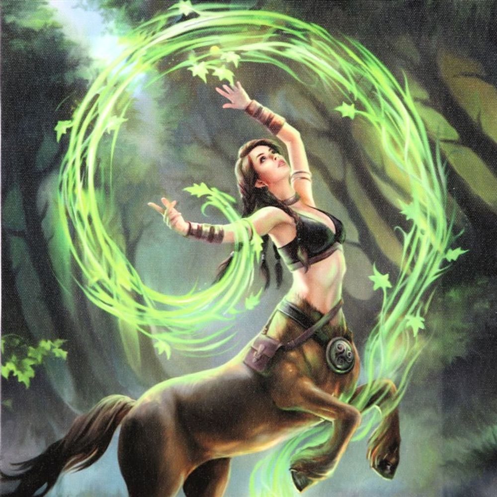 19x25cm Earth Element Sorceress Canvas Plaque by Anne Stokes - ScentiMelti  19x25cm Earth Element Sorceress Canvas Plaque by Anne Stokes