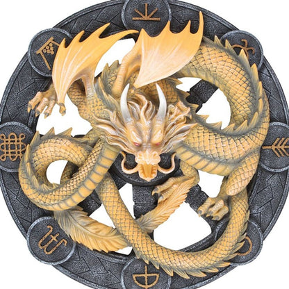 Imbolc Dragon Resin Wall Plaque by Anne Stokes - ScentiMelti  Imbolc Dragon Resin Wall Plaque by Anne Stokes