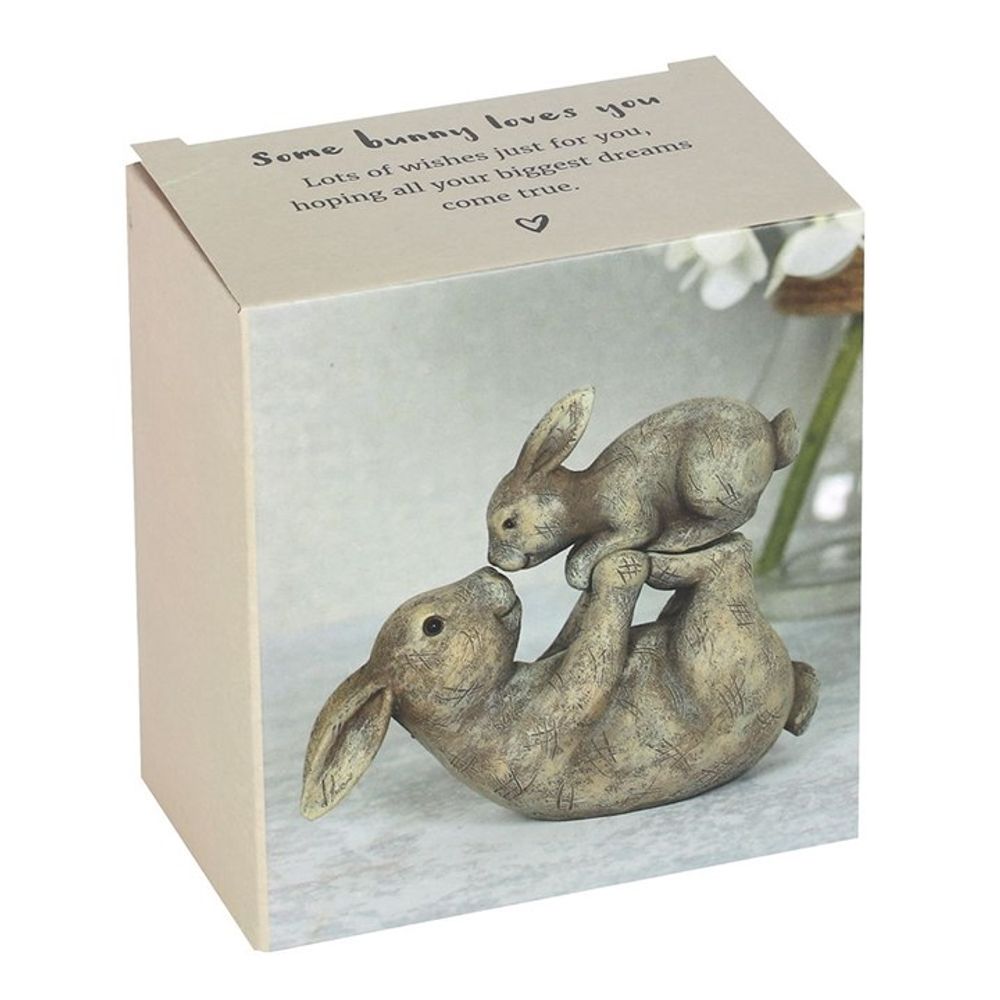 Some Bunny Loves You Ornament - ScentiMelti  Some Bunny Loves You Ornament