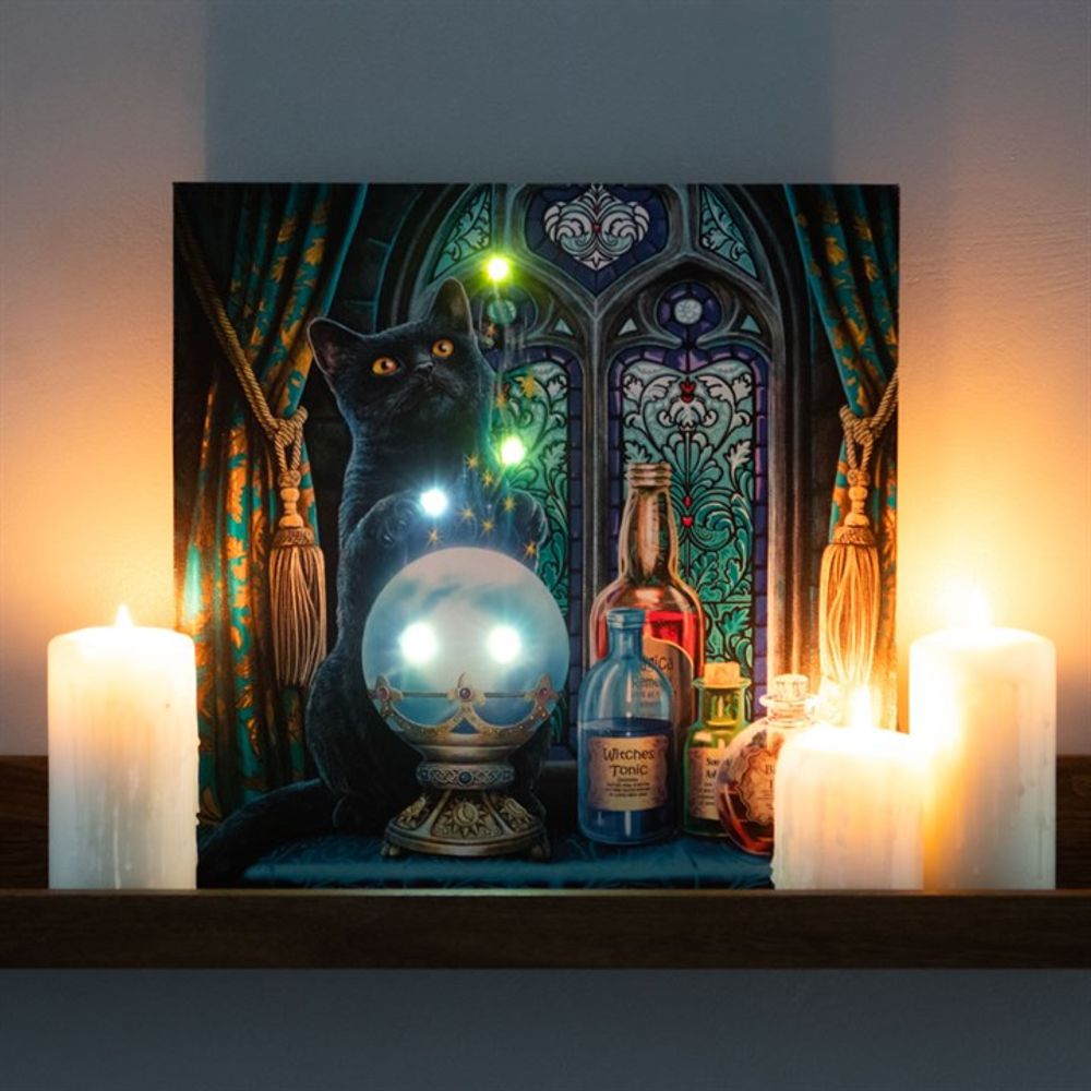 The Witches Apprentice Light Up Canvas Plaque by Lisa Parker - ScentiMelti  The Witches Apprentice Light Up Canvas Plaque by Lisa Parker