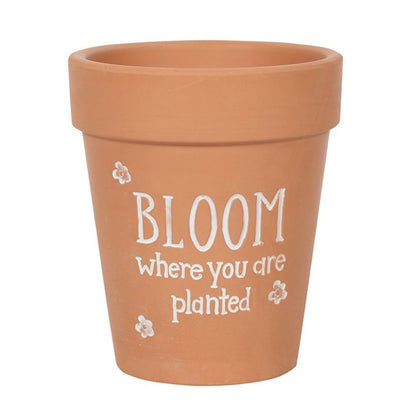 Bloom Where You Are Planted Terracotta Plant Pot - ScentiMelti  Bloom Where You Are Planted Terracotta Plant Pot