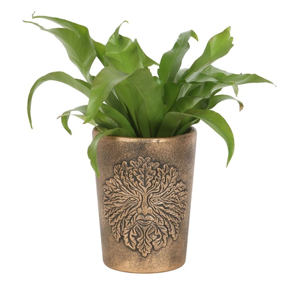 Green Man Bronze Terracotta Plant Pot by Lisa Parker - ScentiMelti  Green Man Bronze Terracotta Plant Pot by Lisa Parker