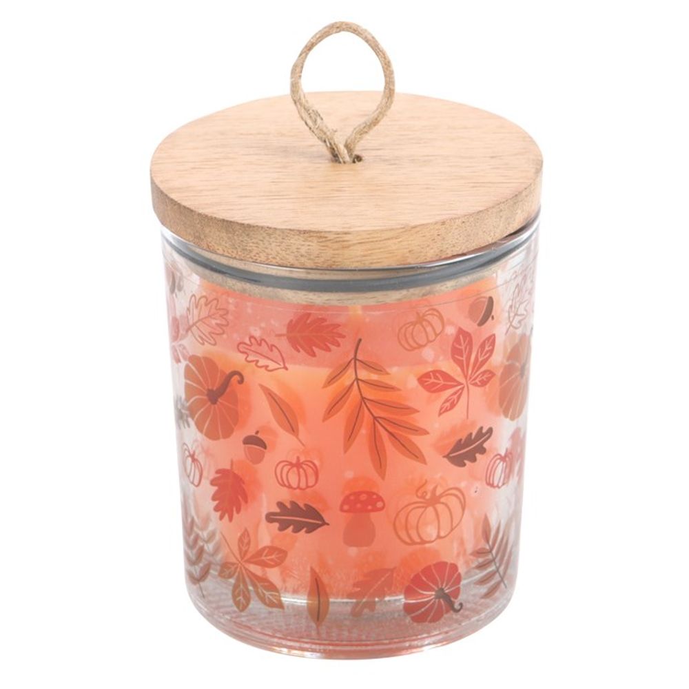 Autumn Leaves Cinnamon & Orange Candle - ScentiMelti  Autumn Leaves Cinnamon & Orange Candle