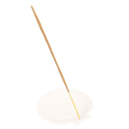 Off White Scallop Shell Incense Stick Holder - ScentiMelti  Off White Scallop Shell Incense Stick Holder