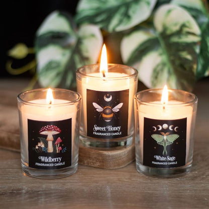 Dark Forest Votive Candle Trio - ScentiMelti  Dark Forest Votive Candle Trio