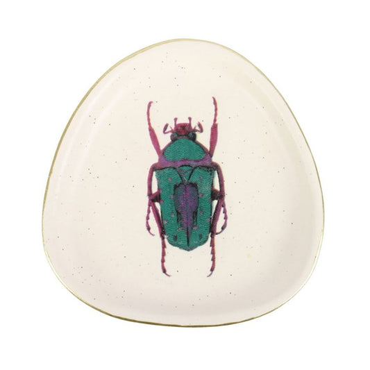 Off White Beetle Trinket Dish - ScentiMelti  Off White Beetle Trinket Dish