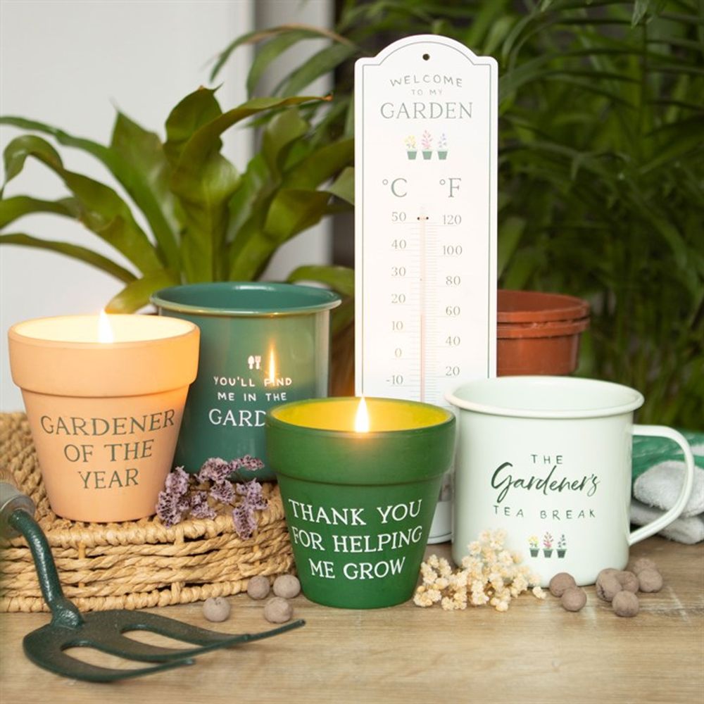 Gardener of the Year Citronella Candle - ScentiMelti  Gardener of the Year Citronella Candle