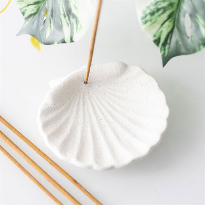 Off White Scallop Shell Incense Stick Holder - ScentiMelti  Off White Scallop Shell Incense Stick Holder