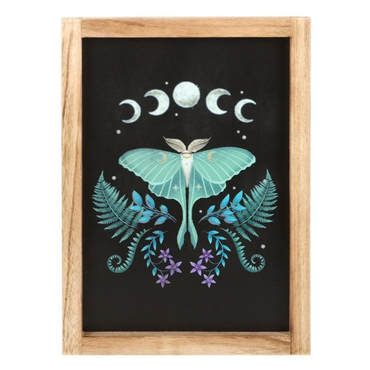 Luna Moth Wooden Framed Wall Art - ScentiMelti  Luna Moth Wooden Framed Wall Art