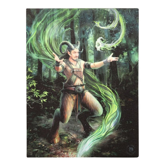 19x25cm Earth Element Wizard Canvas Plaque by Anne Stokes - ScentiMelti  19x25cm Earth Element Wizard Canvas Plaque by Anne Stokes