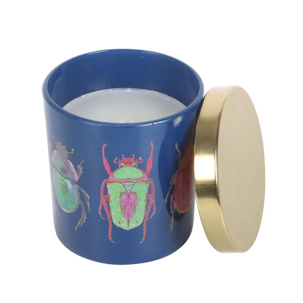 Blue Beetle Candle - ScentiMelti  Blue Beetle Candle