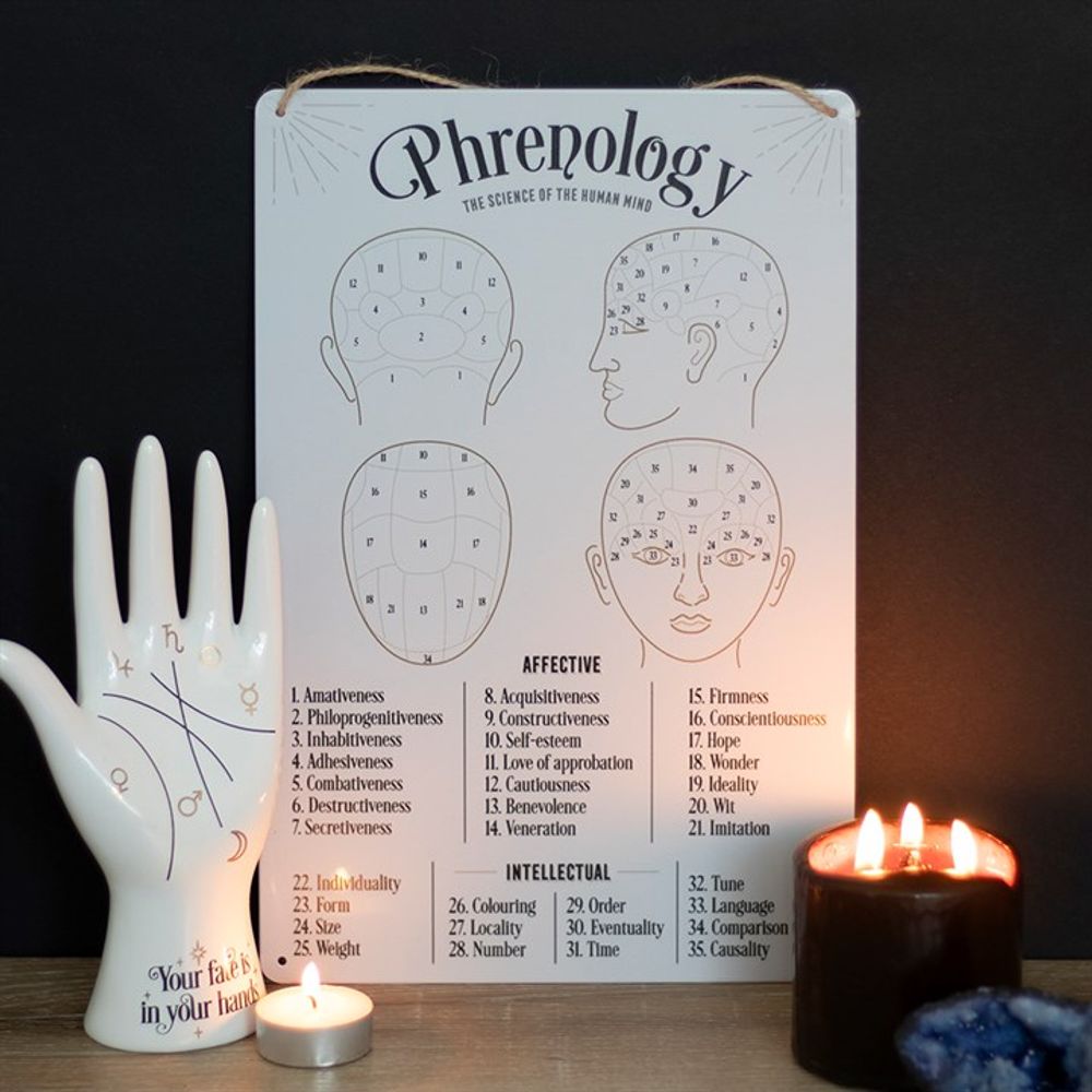 Phrenology Map Metal Sign - ScentiMelti  Phrenology Map Metal Sign