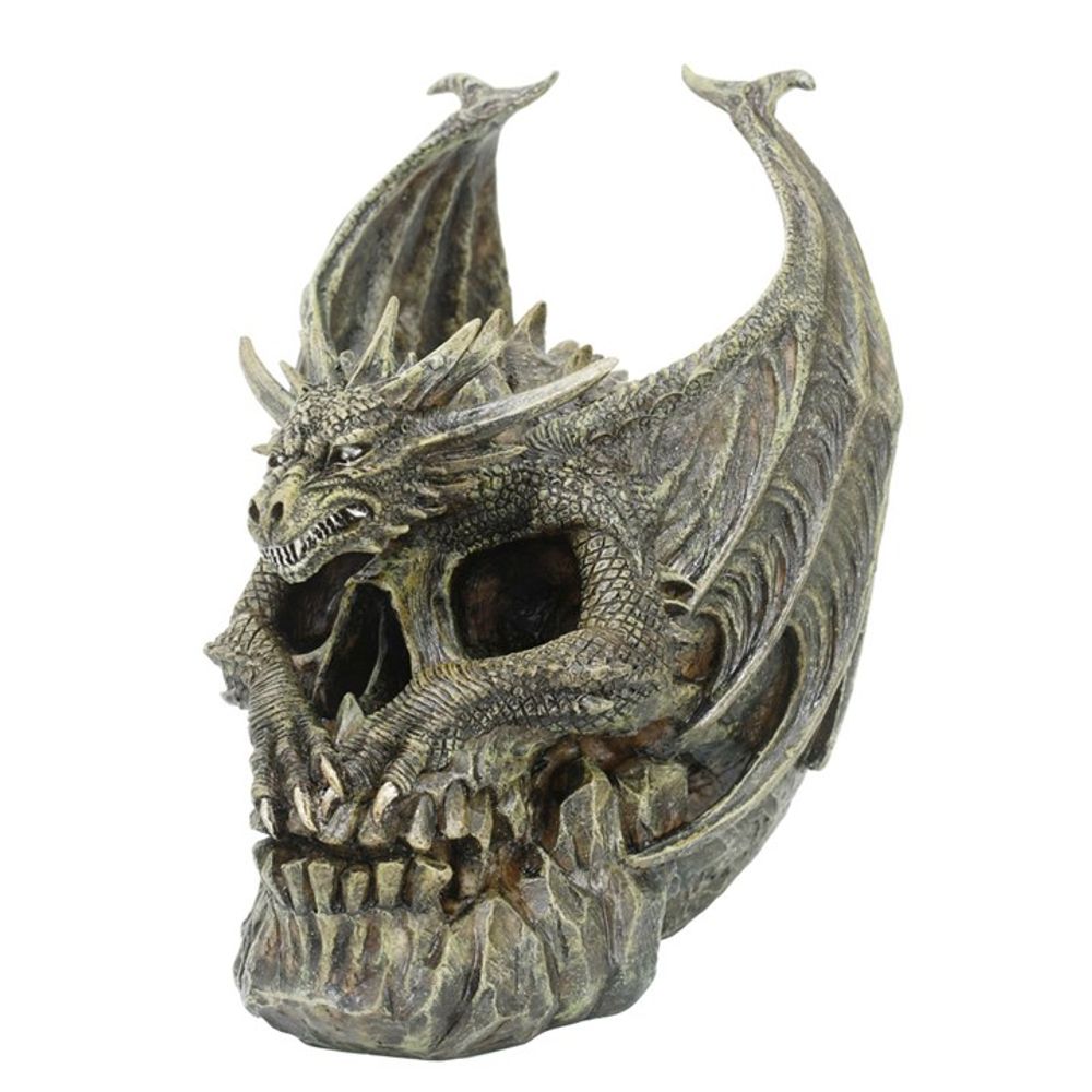 Draco Dragon Skull Ornament by Spiral Direct - ScentiMelti  Draco Dragon Skull Ornament by Spiral Direct