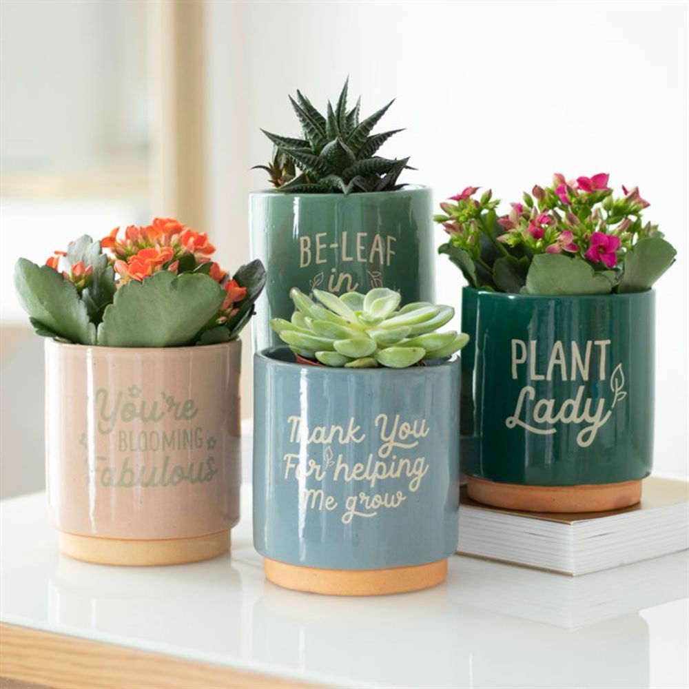 Dark Green Plant Lady Plant Pot - ScentiMelti Home Fragrance, Beauty & Gifts UK