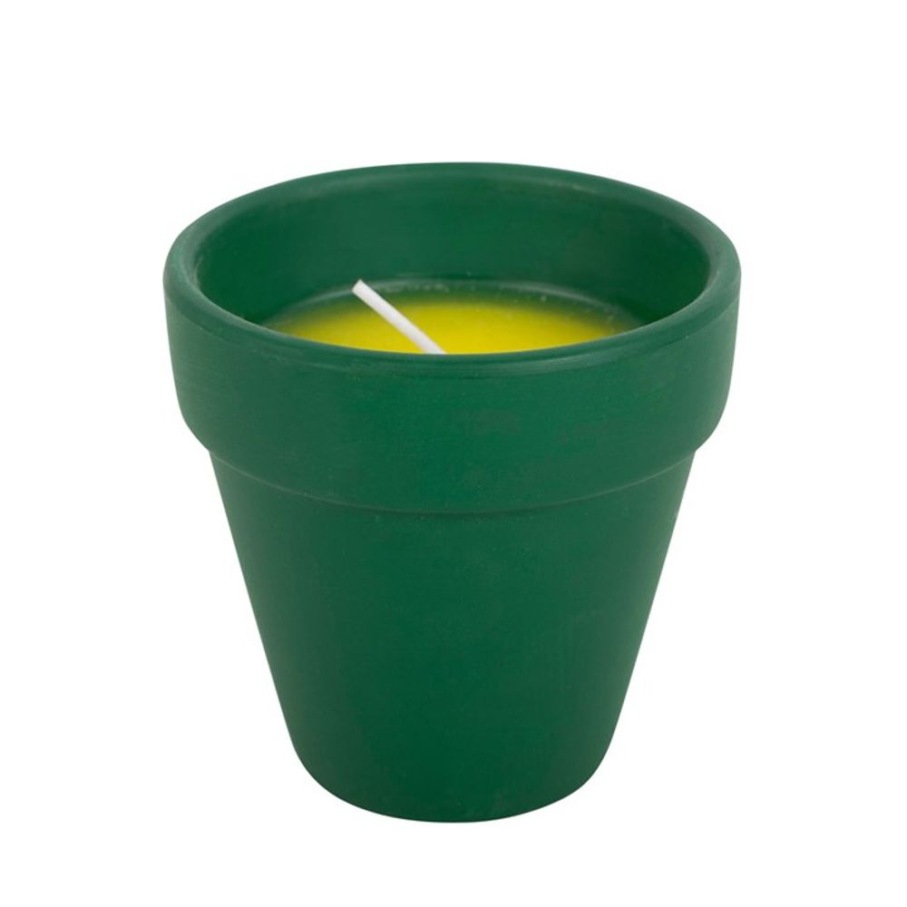 Thank You for Helping Me Grow Citronella Candle - ScentiMelti  Thank You for Helping Me Grow Citronella Candle