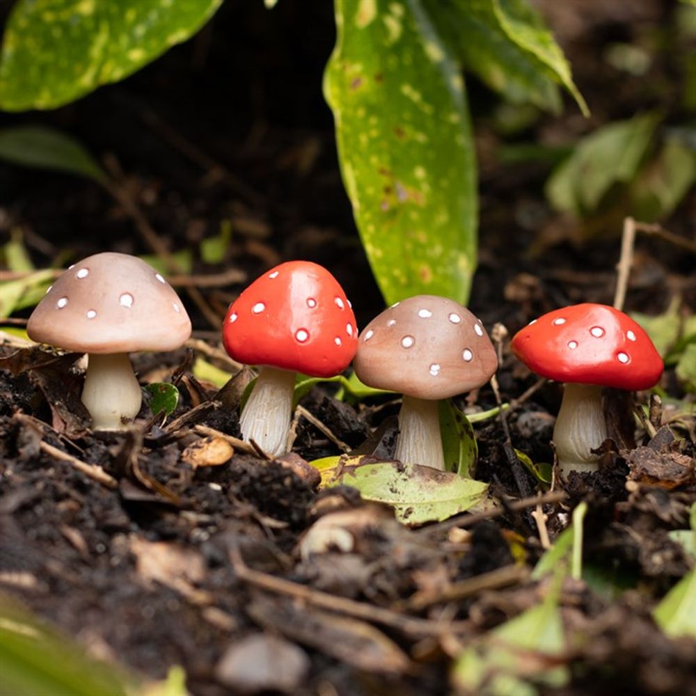 Set of 4 Mini Mushroom Plant Pot Pals - ScentiMelti  Set of 4 Mini Mushroom Plant Pot Pals