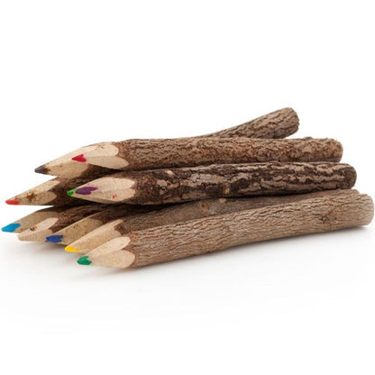 Set of 10 Twig Pencils - ScentiMelti  Set of 10 Twig Pencils