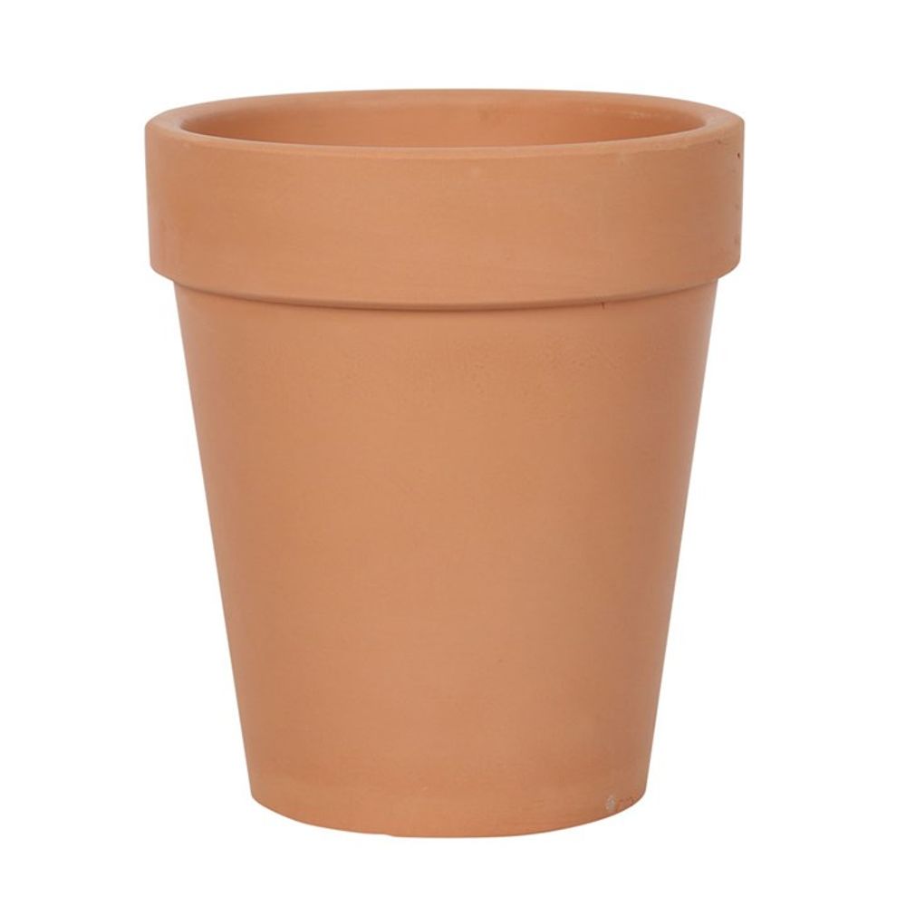 Bloom Where You Are Planted Terracotta Plant Pot - ScentiMelti  Bloom Where You Are Planted Terracotta Plant Pot