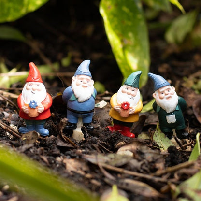 Set of 4 Mini Gnome Plant Pot Pals - ScentiMelti  Set of 4 Mini Gnome Plant Pot Pals