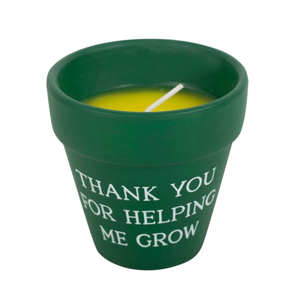 Thank You for Helping Me Grow Citronella Candle - ScentiMelti  Thank You for Helping Me Grow Citronella Candle