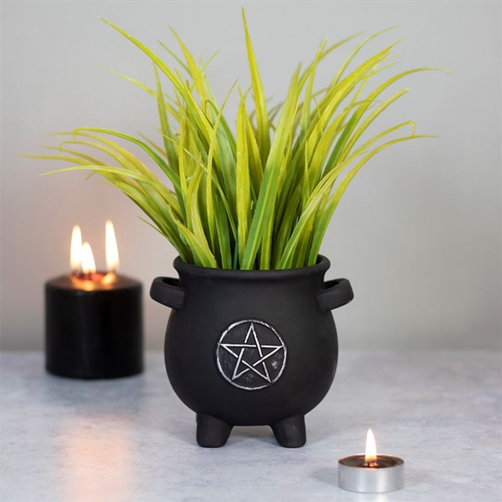 Pentagram Cauldron Plant Pot - ScentiMelti  Pentagram Cauldron Plant Pot