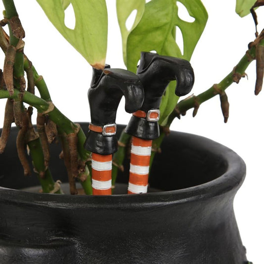 Set of 2 Witch Leg Plant Pot Ornaments - ScentiMelti  Set of 2 Witch Leg Plant Pot Ornaments