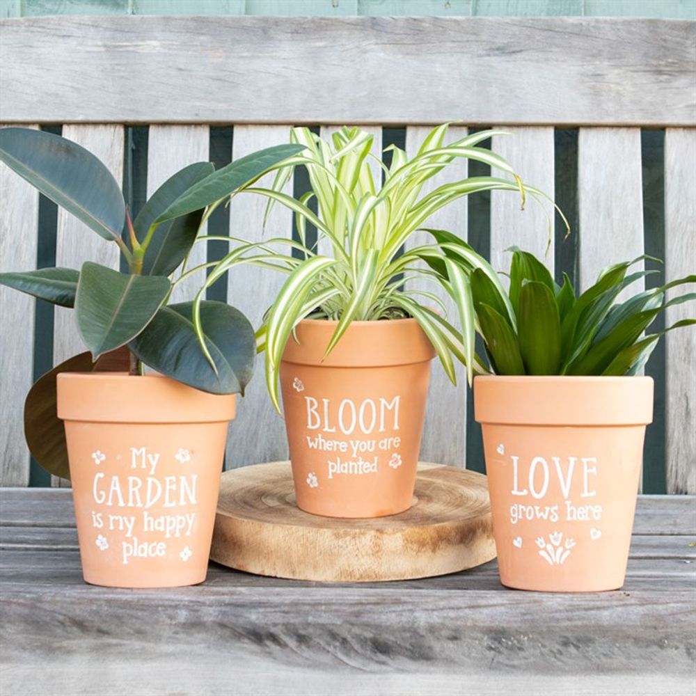 Bloom Where You Are Planted Terracotta Plant Pot - ScentiMelti  Bloom Where You Are Planted Terracotta Plant Pot