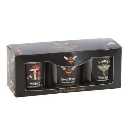 Dark Forest Votive Candle Trio - ScentiMelti  Dark Forest Votive Candle Trio